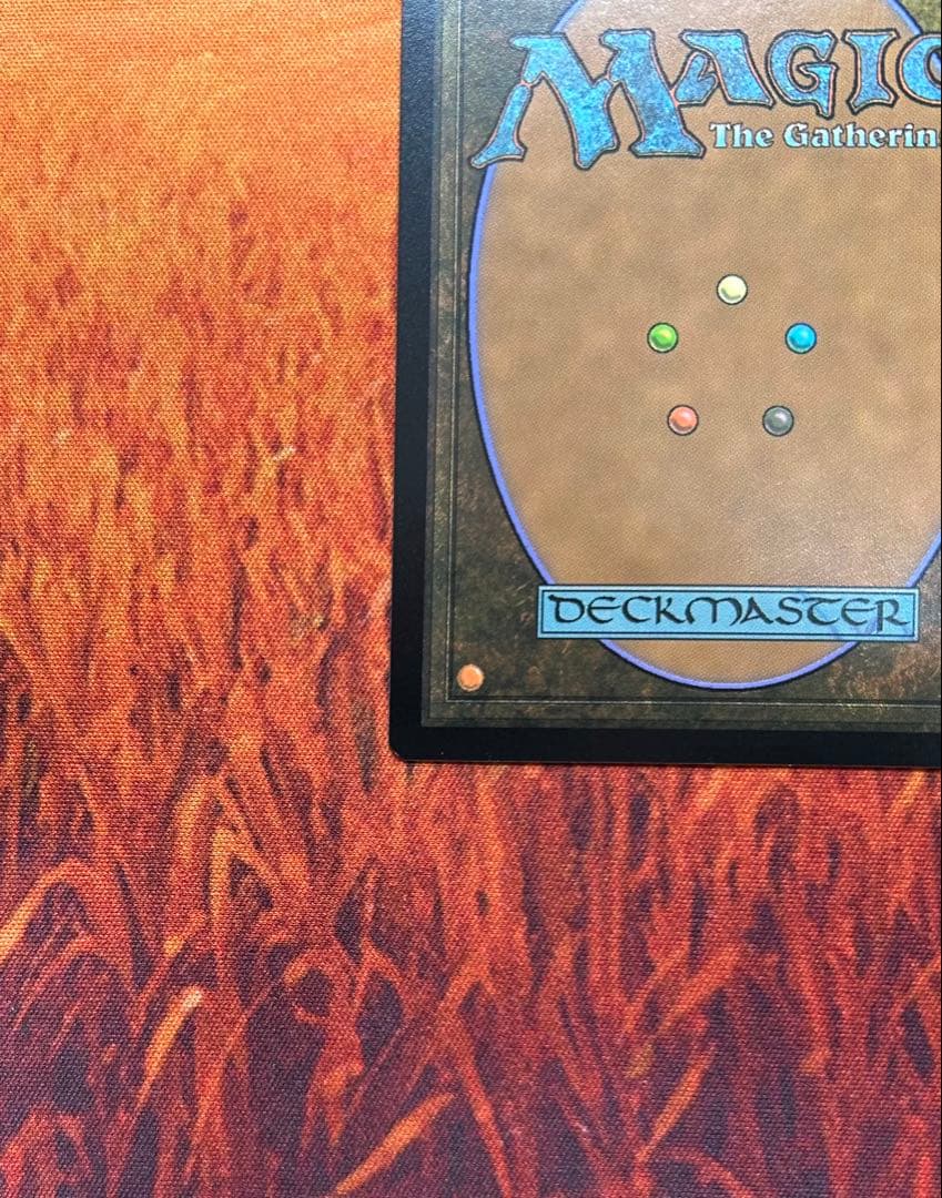 MTG 食肉鈎虐殺事件 / 拡張 FOIL 英語 イニストラード真夜中の狩り