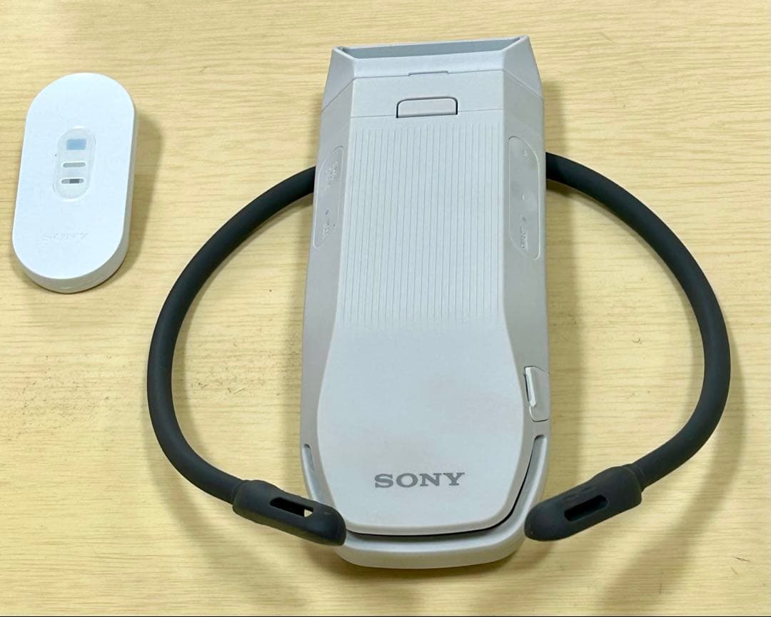 SONY REON POCKET PRO RNPK-P1Tレオンポケット プロ
