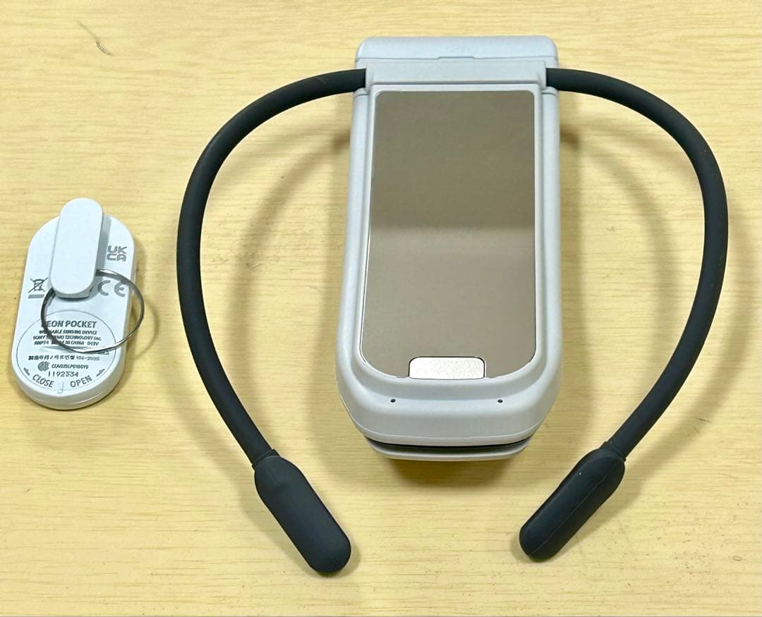 SONY REON POCKET PRO RNPK-P1Tレオンポケット プロ