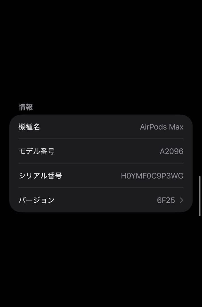 AirPods本体 シルバー メタリック仕上げ