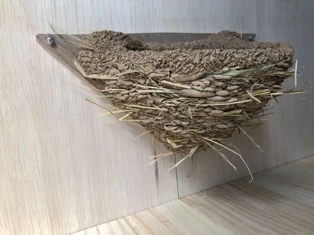 ツバメの人工巣　壁付け用タイプ板貼り付き　新品・未使用品　　B11
