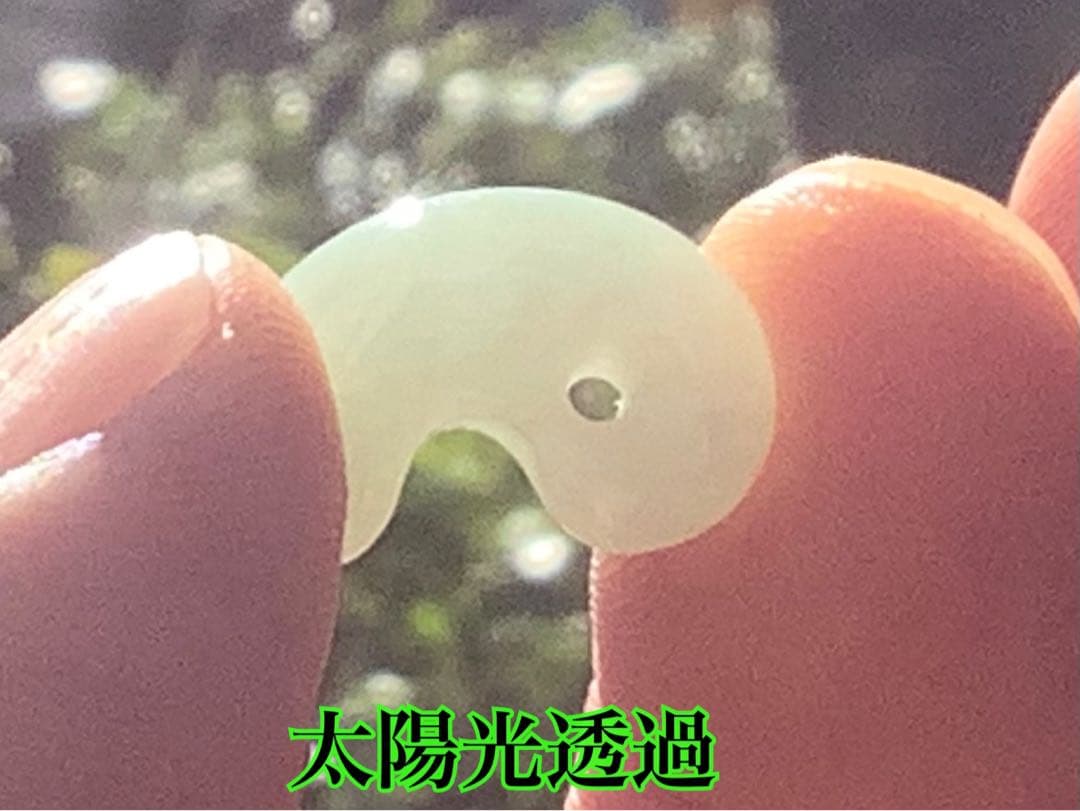 ✳ お願いは守護石に摩訶不思議な幸運の勾玉　糸魚川翡翠ジェダイト　ソーティング付