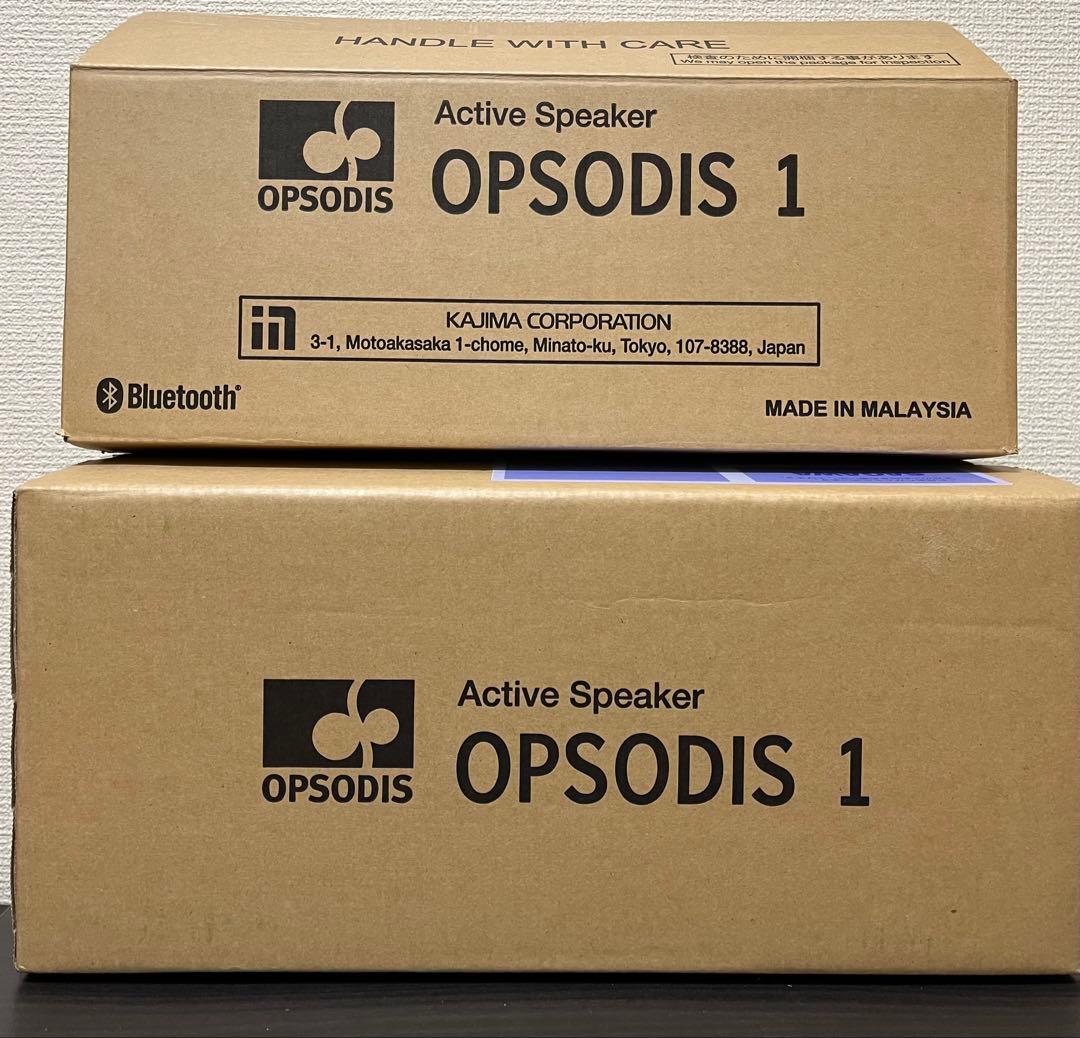 OPSODIS 1 アクティブスピーカー　鹿島建設