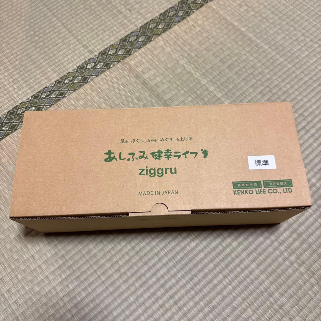 あしふみ健幸ライフ　標準タイプ　 中古品