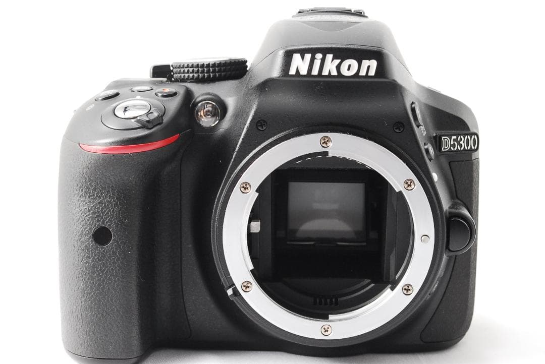 シャッター数885枚❤美品 Nikon D5300 Wi-Fi スマホ転送