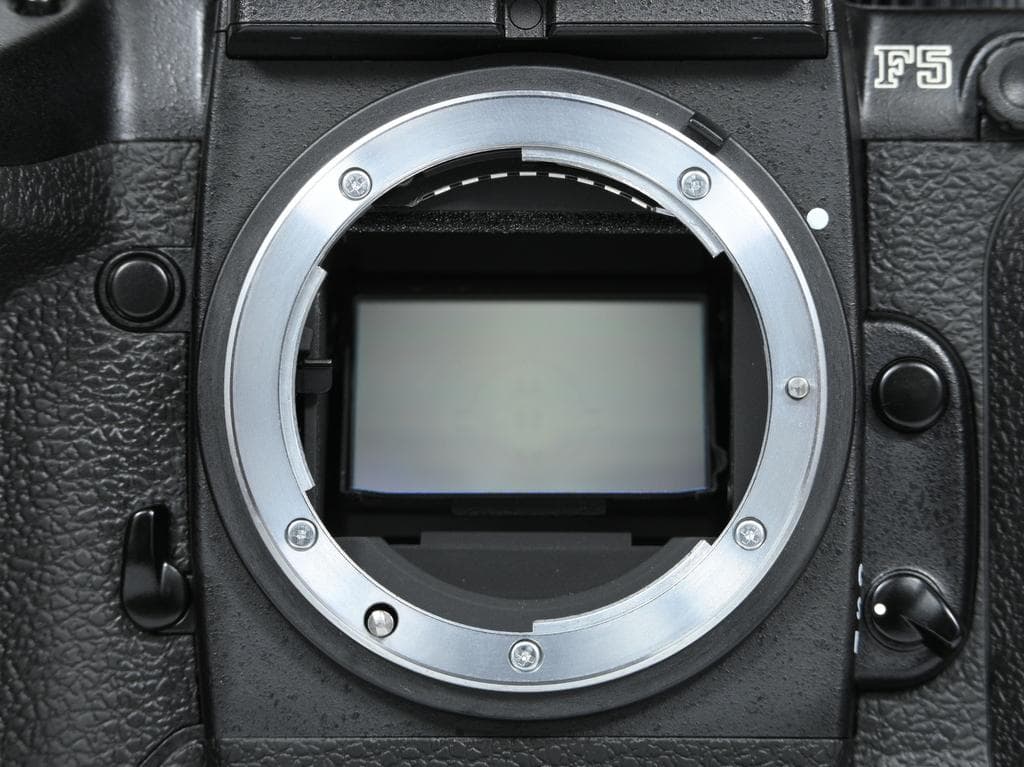 【超美品】 ニコン　Nikon F5 ボディ