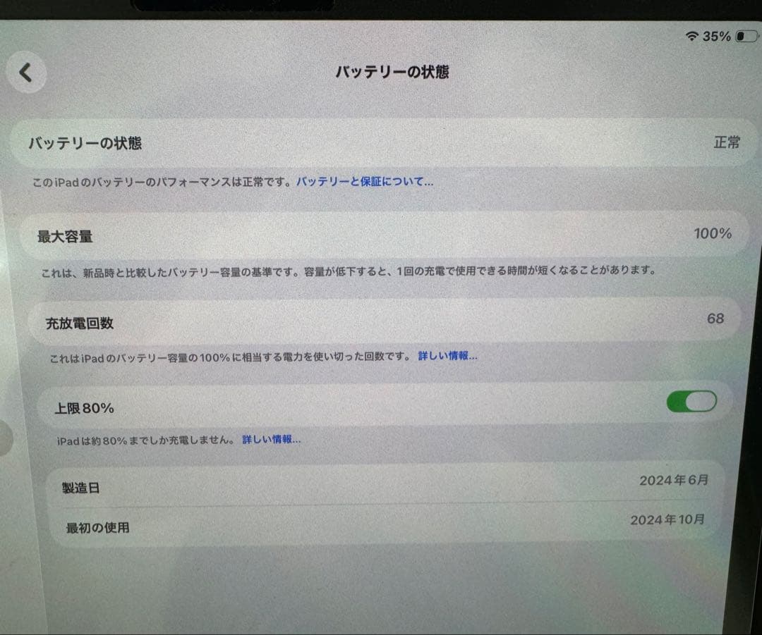 iPad Pro11インチ M4 256GB + Pencil Pro +おまけ