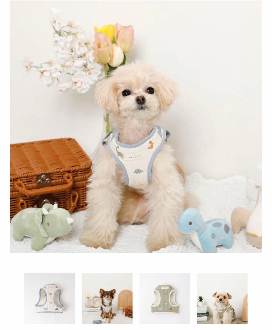 【お値下げ❗️】monchéri（モンシェリ）　ハーネス　リード　洋服　小型犬用