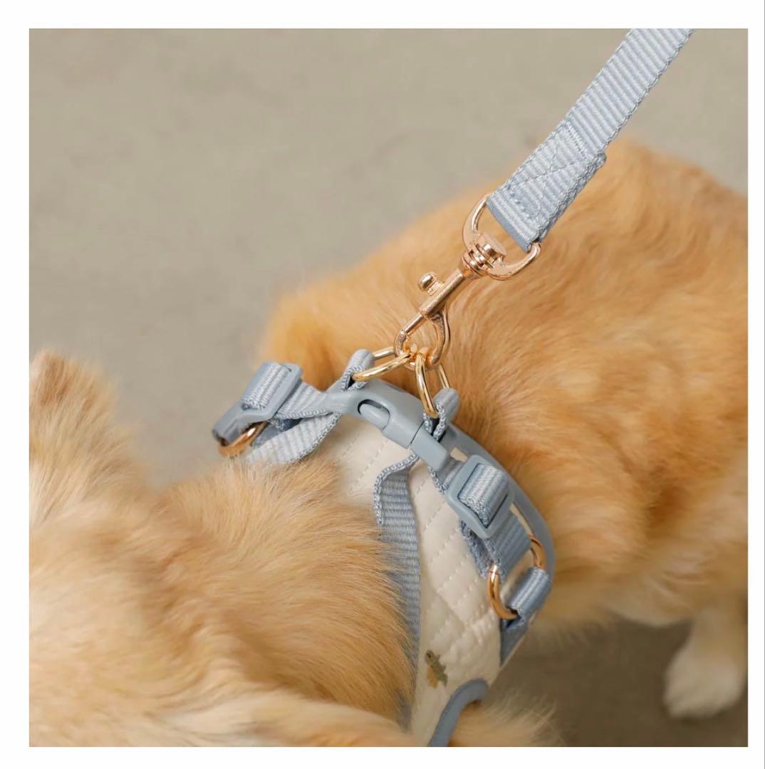 【お値下げ❗️】monchéri（モンシェリ）　ハーネス　リード　洋服　小型犬用
