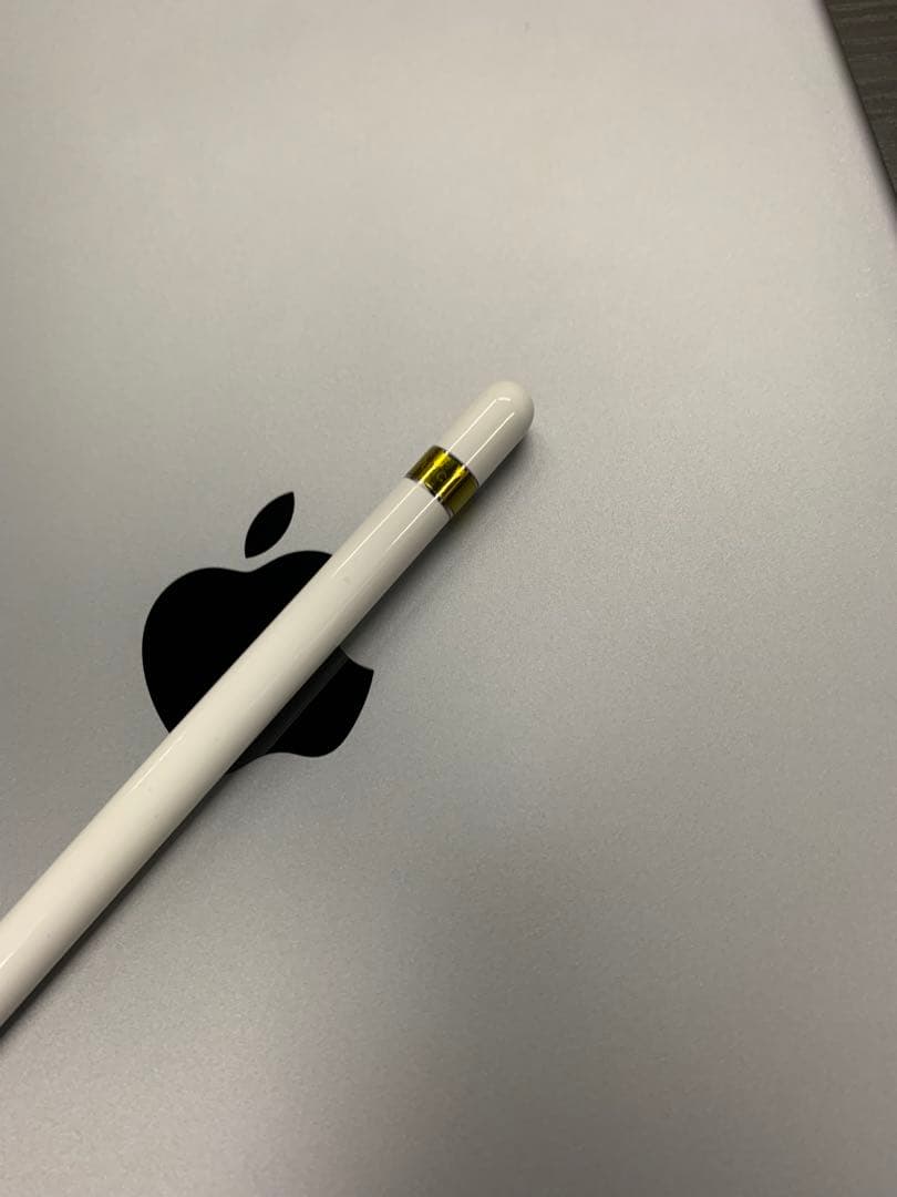 iPad Pro12.9㌅第２世代セルラーモデル