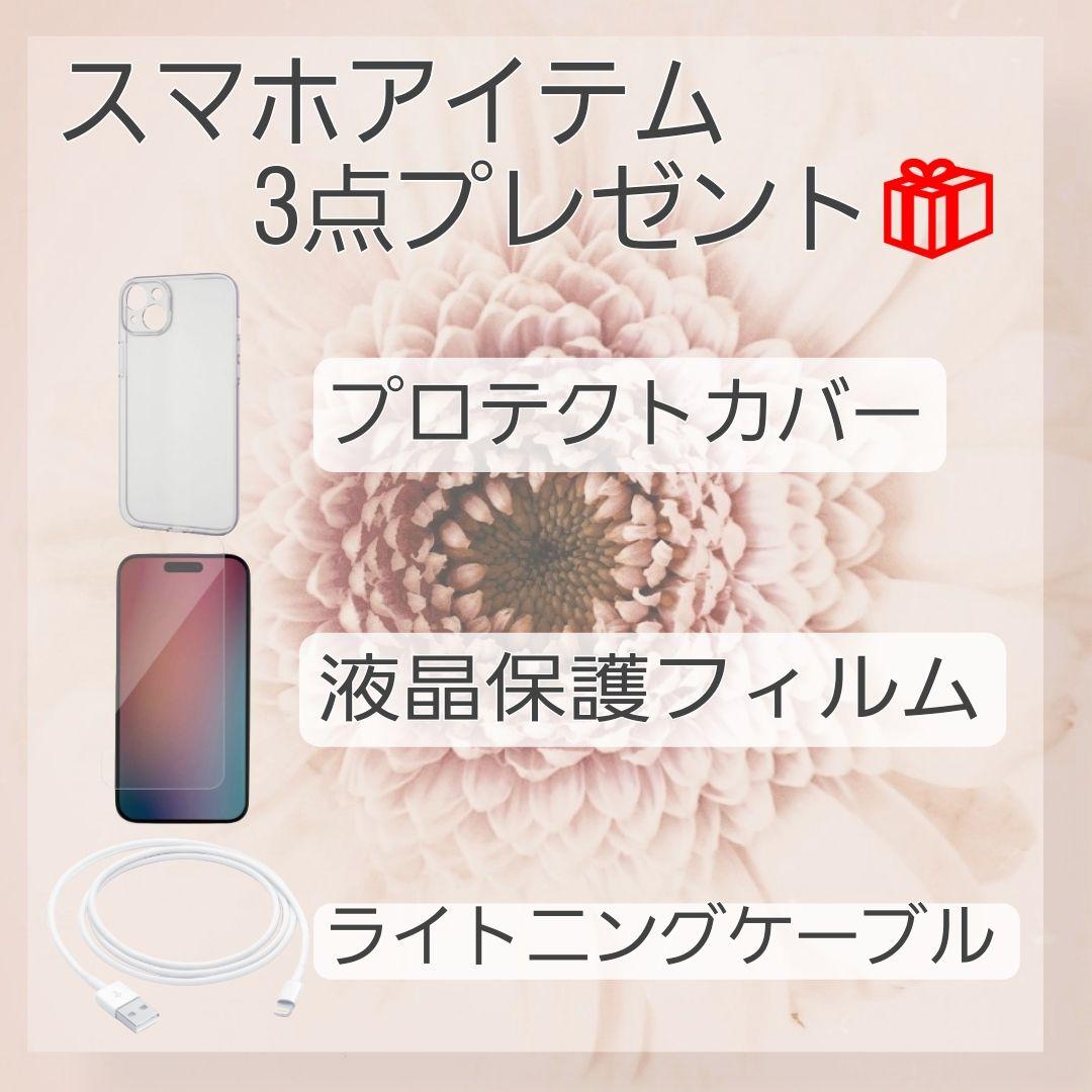 iPhone 12 256GB SIMフリー バッテリー新品100%