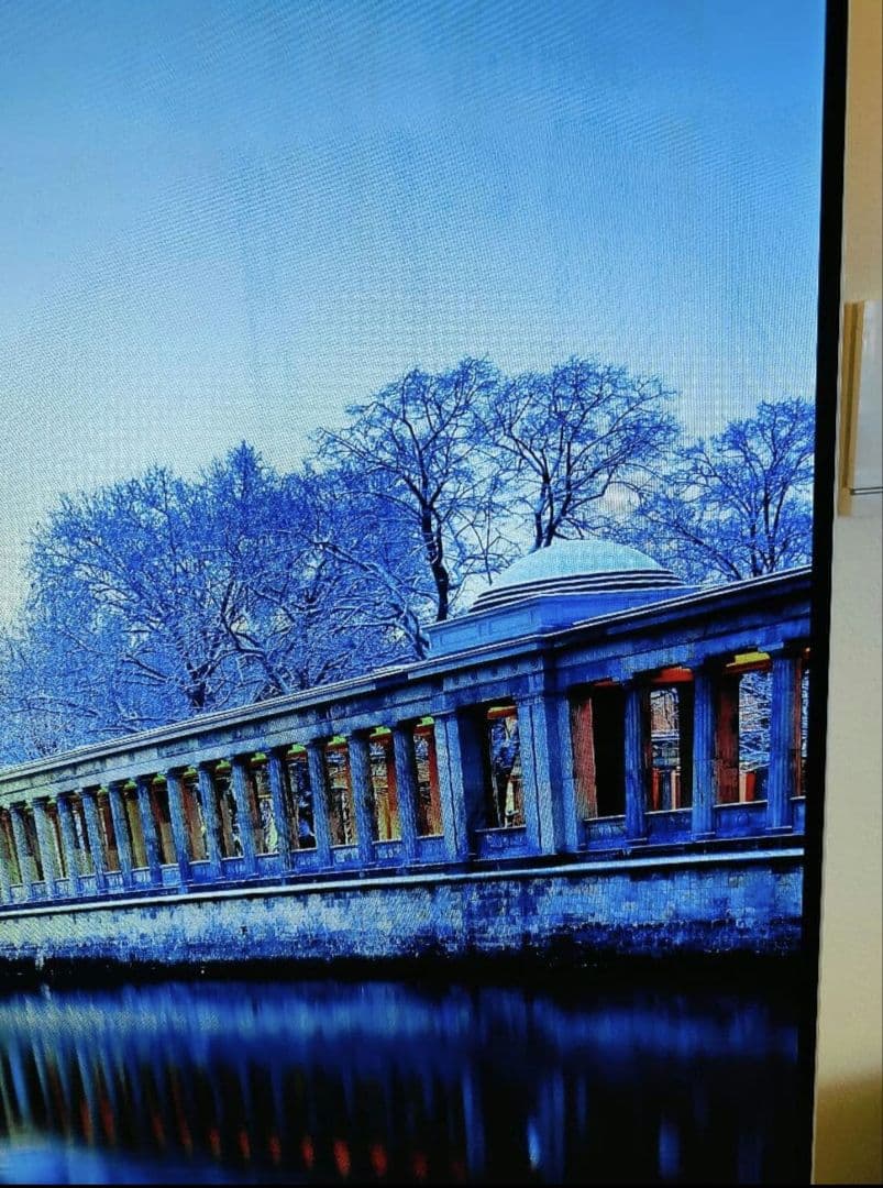 テレビ LG OLED TV OLED56C6P