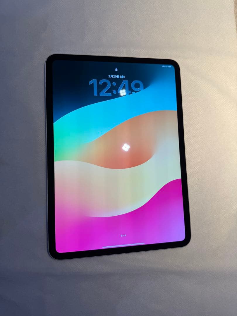 【3/7までの出品、備品新品未使用】iPad Pro（M4）11インチ WiFi