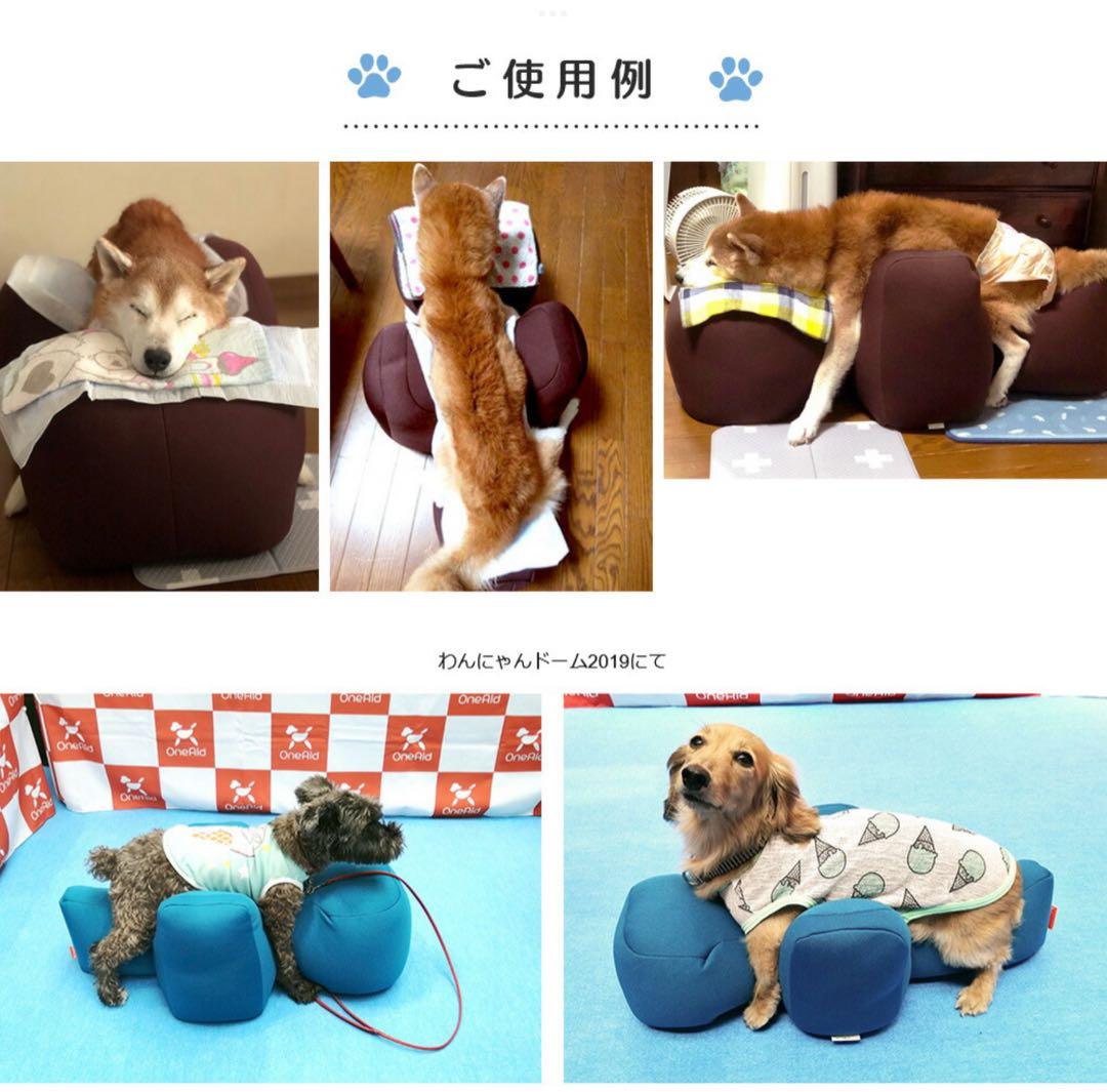 【年末年始発送可能】リラクッション　Lサイズ　本体ブルーカバー(ブラウン)