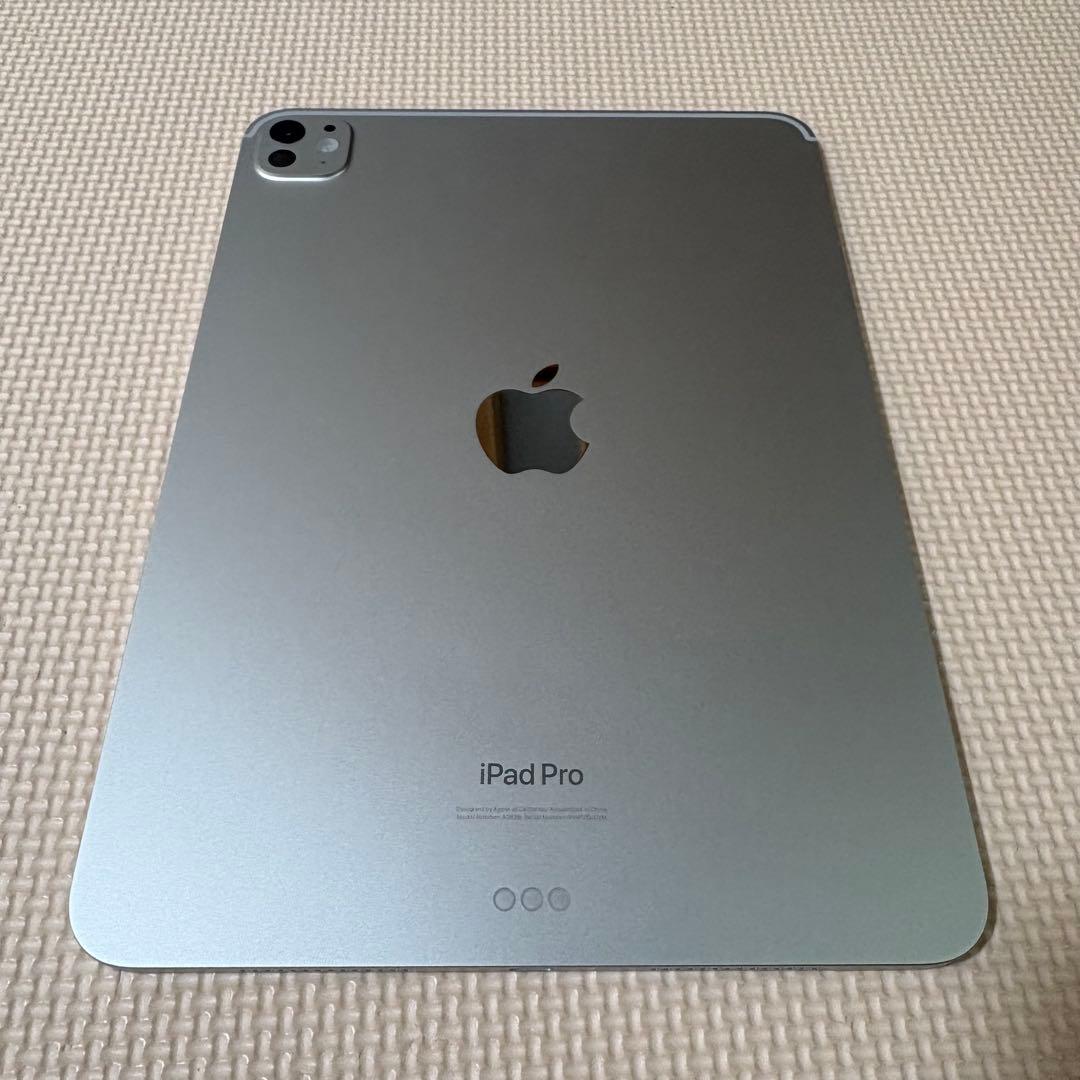 iPad Pro 11インチ (M4)256GB 超絶美品！！保護フィルムあり