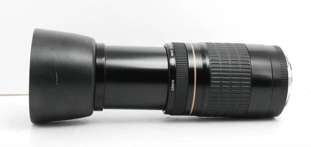 Canon EF 75-300mm F4-5.6 USM⭐️超望遠レンズ