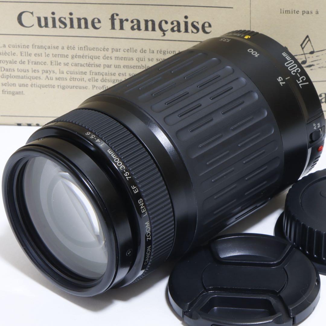 ◇大迫力300mm超望遠!!◇Canon純正 75-300mm 超望遠レンズ◇