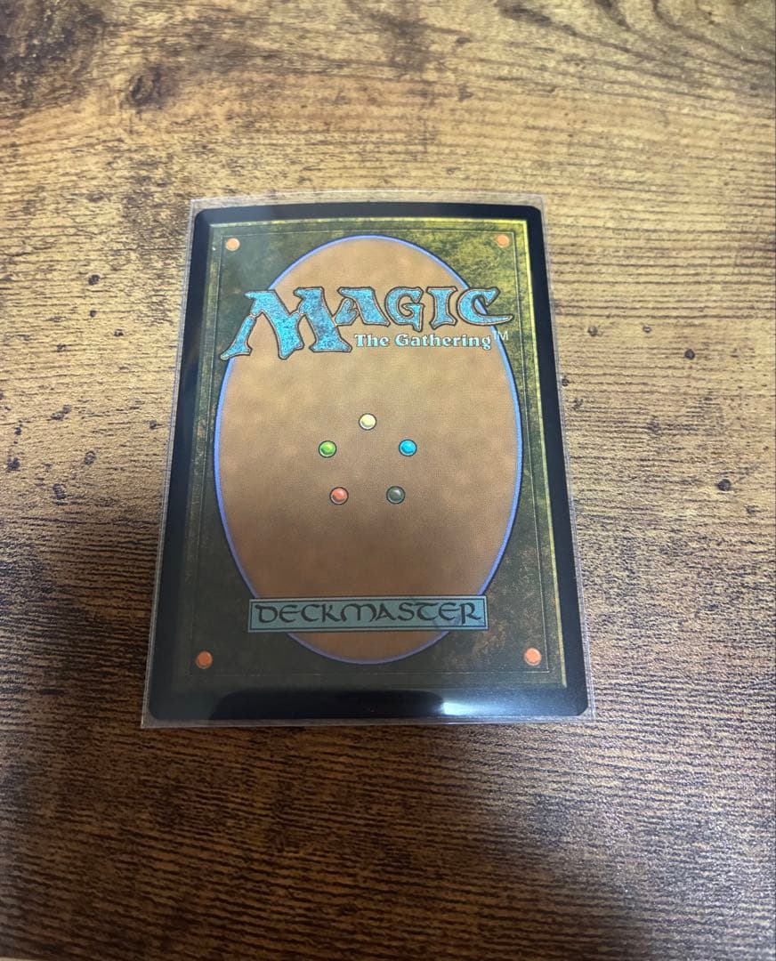 MTG 英語　全面アート　絵描きの召使い