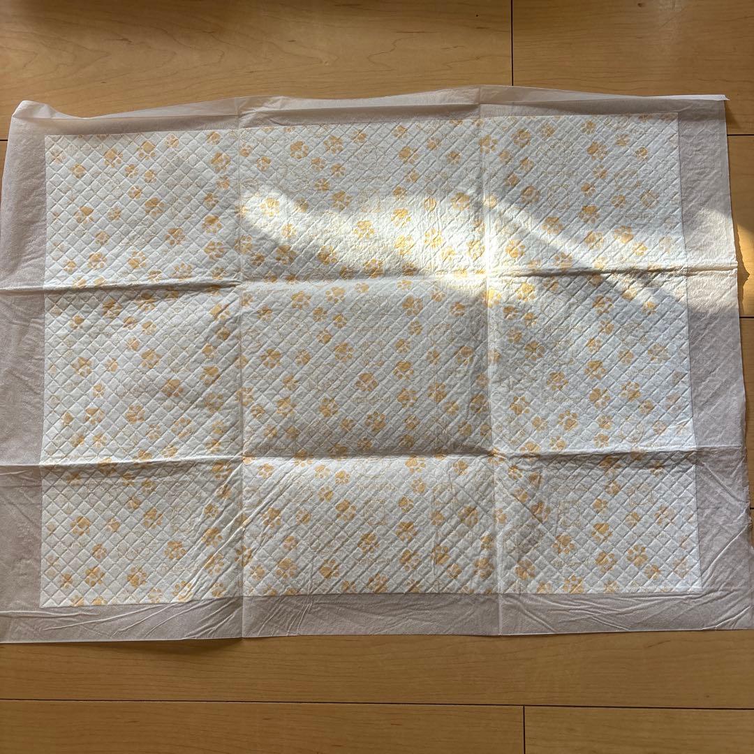 ペットシーツ ワイド ［FREE LIFE] 100枚入り6袋 未開封計600枚