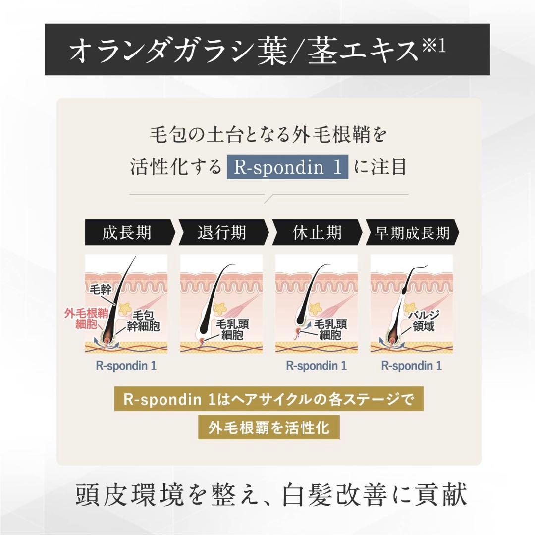 綺和美 ROOT VANISH 白髪ケアセラム