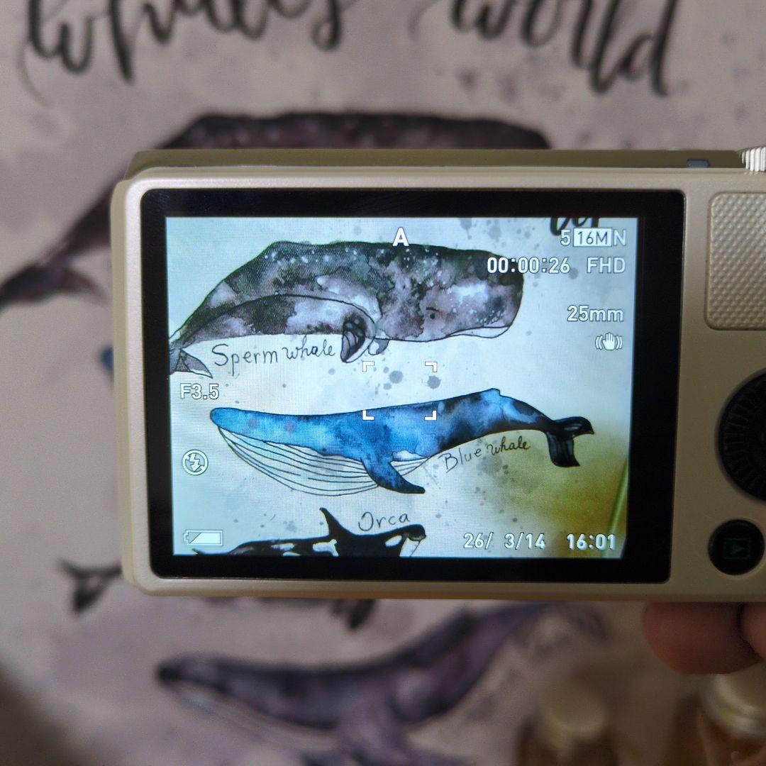 CASIO EXILIM EX-ZR800 ホワイト