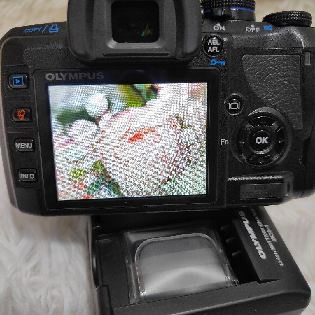 動作良好 OLYMPUS E-420 一眼レフカメラ マクロレンズ付 フルセット