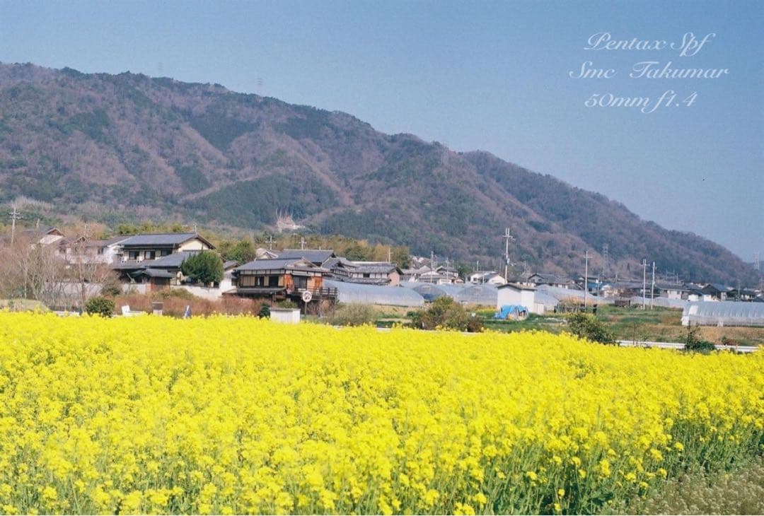 ★完動品＊美品＊初期保証★Pentax SPF/f1.4レンズセット★作例多数！