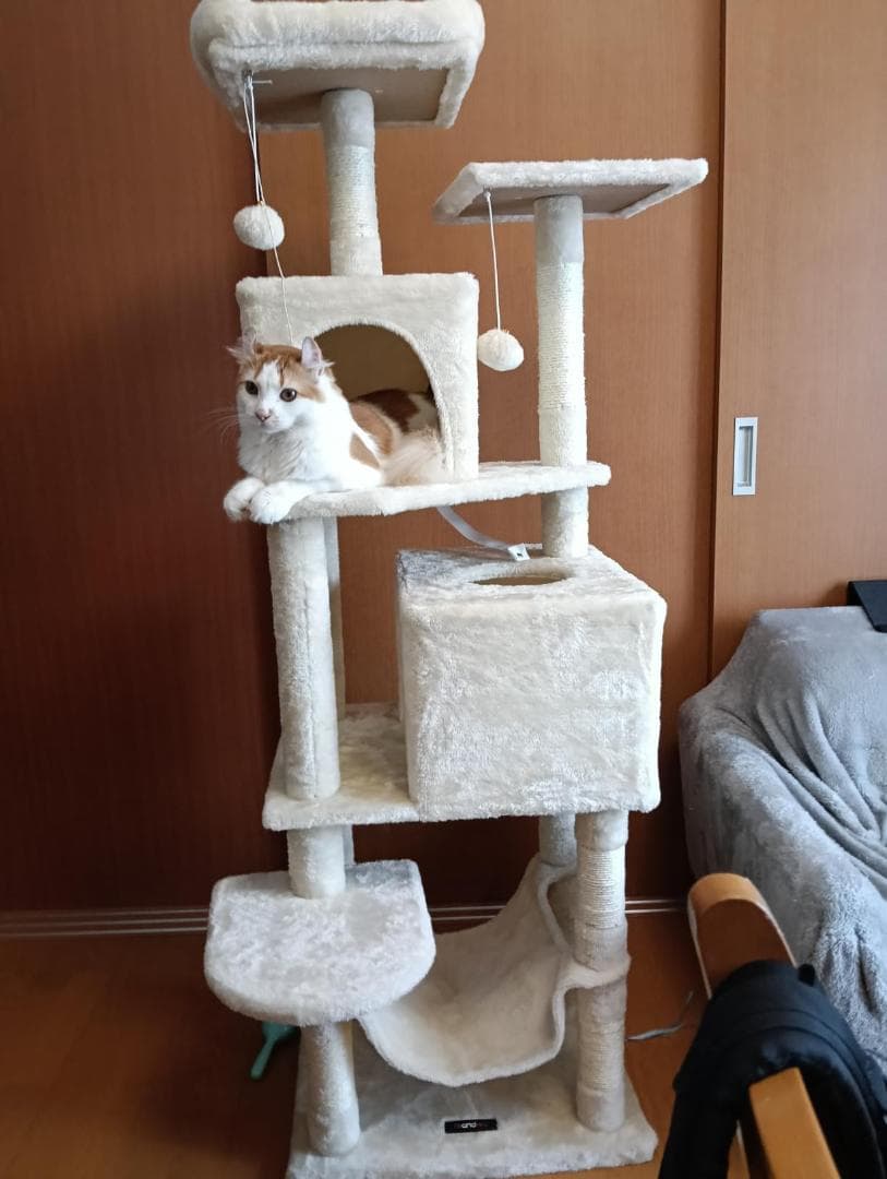 FEANDREA キャットタワー 猫タワー スリム 人気 大型猫 多頭飼いDXT