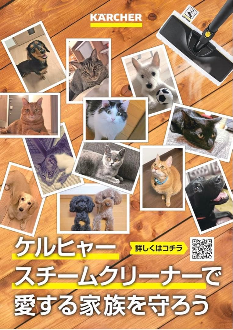 【値下げ・美品】KARCHER SC 2スチームクリーナー(即発送)