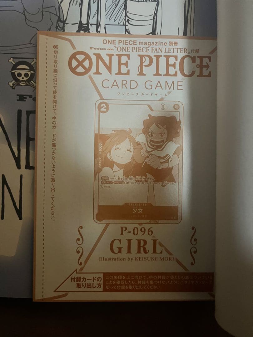 ONE PIECE FAN LETTER 20冊セット 少女プロモ付き