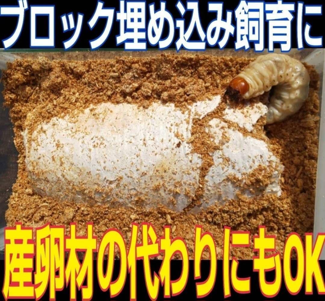 カブトムシ幼虫の栄養強化に！オオヒラタケ菌床【20ブロック】クワガタの産卵にも！