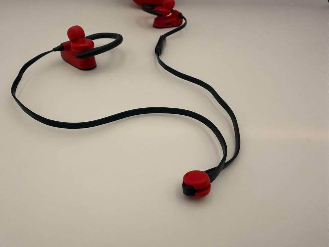 【10周年限定モデル】Powerbeats3 Wireless レジスタンD