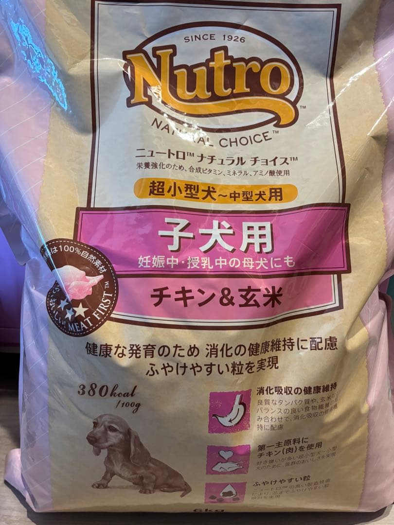 Nutro 子犬用 フード チキン&玄米 ニュートロ　6kg
