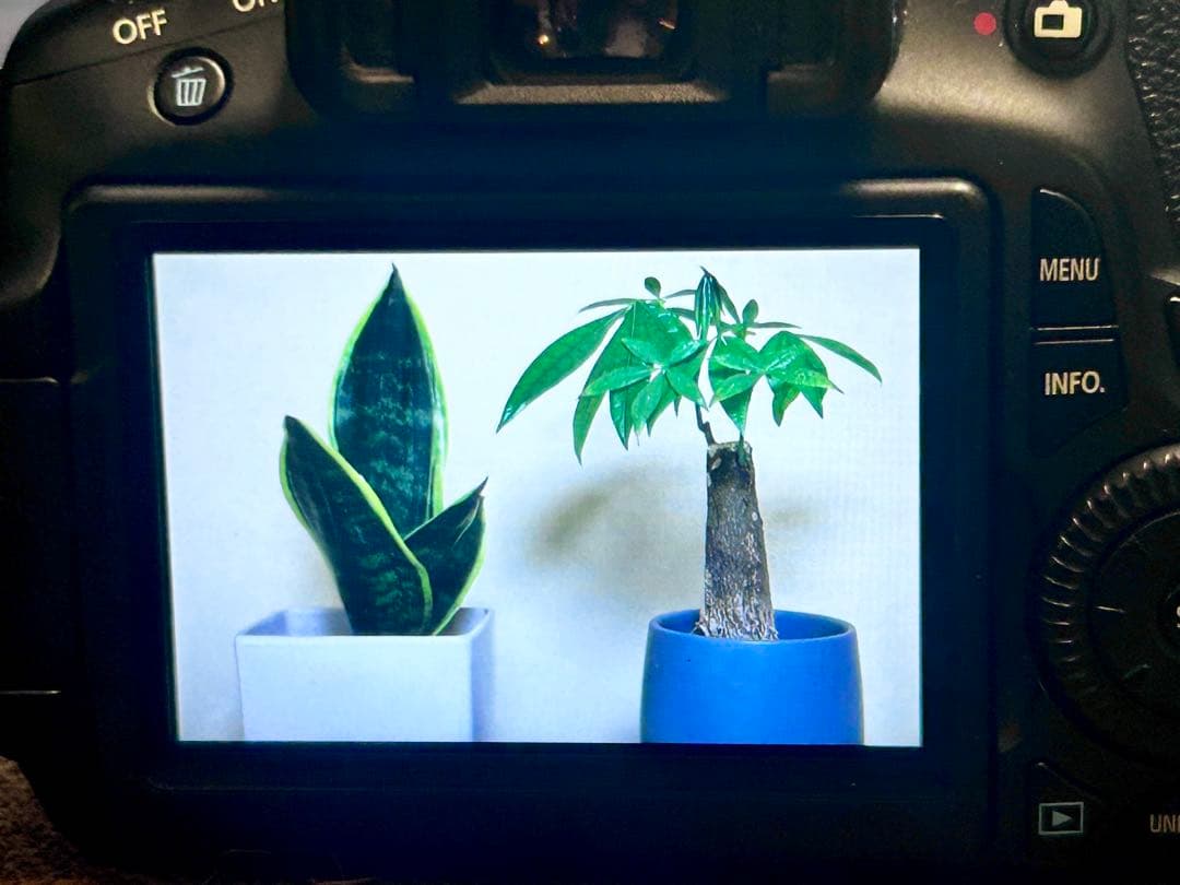 Canon EOS 60D＋SIGMA 70-300mm DG 付属品多数