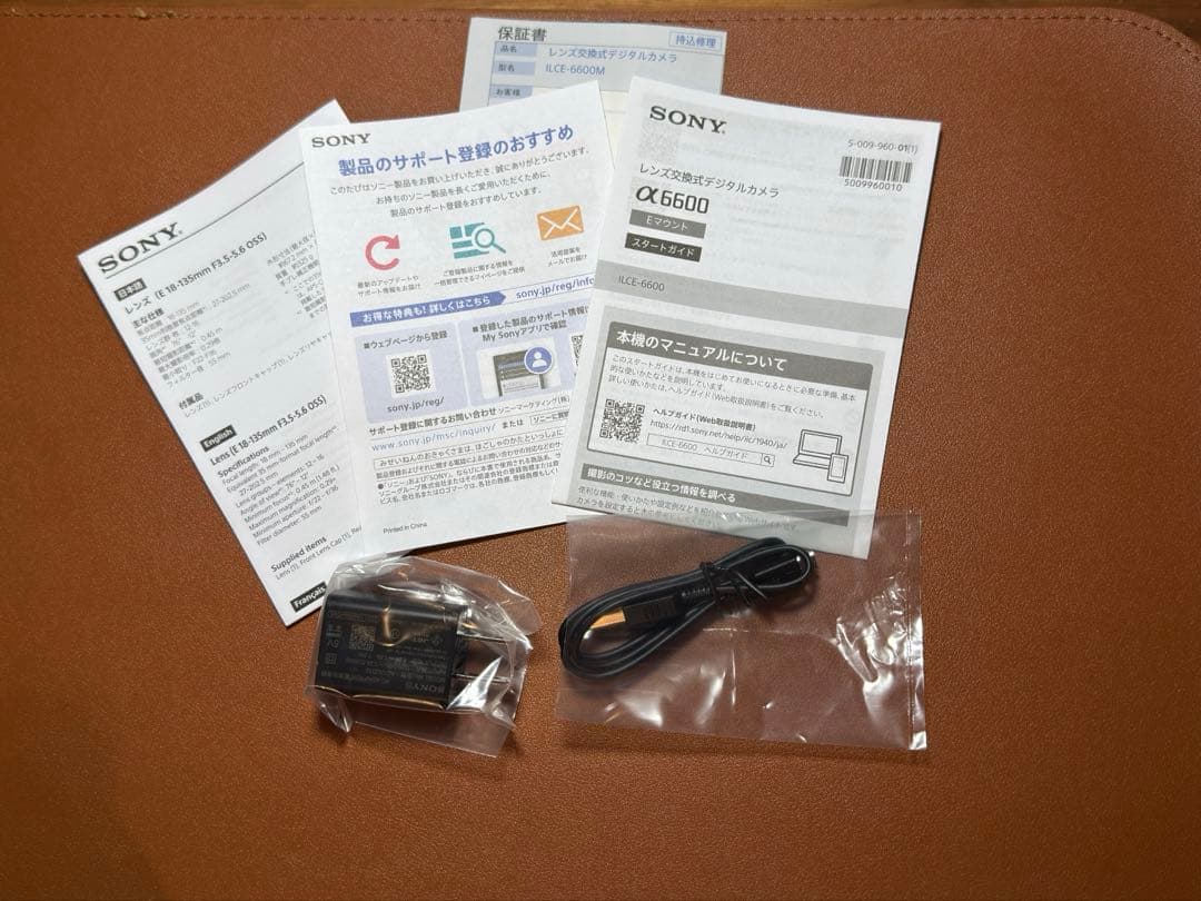 a6600 ＋単焦点レンズ2本セット　防湿庫保管