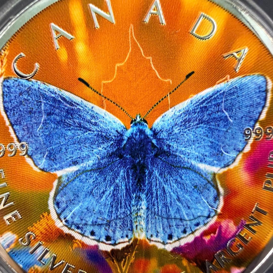 100枚限定 メイプルリーフ 銀貨 カラー ブルーバタフライ 1オンス 1oz