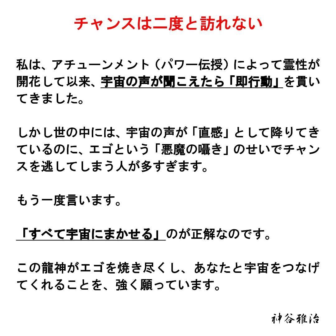 【至高の特大龍神護符】頑張ることに疲れてしまったあなたへ※89※開運絵画