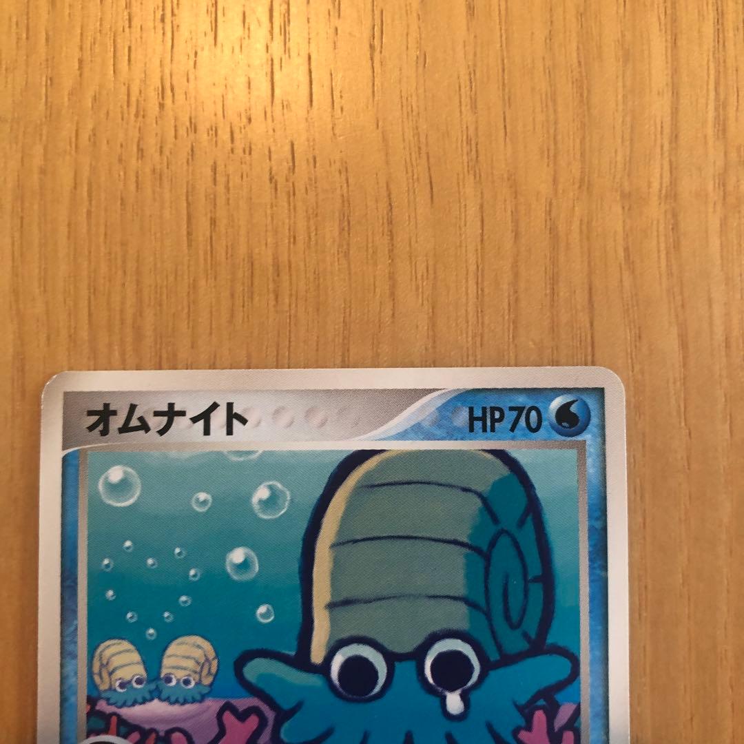 オムナイト 2枚
