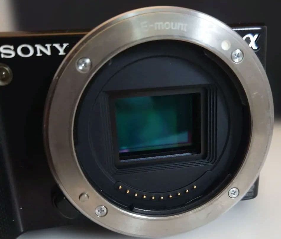 SONY NEX-5 ボディー