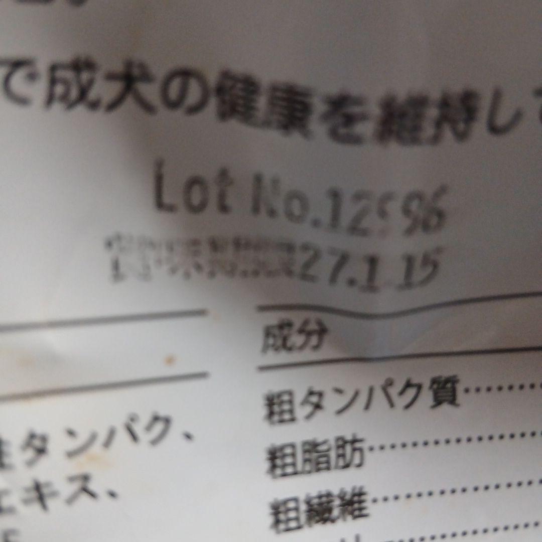 売り切り最終処分価格！サーモン＆ライス ドライフード 成犬用　３袋まとめてのみ