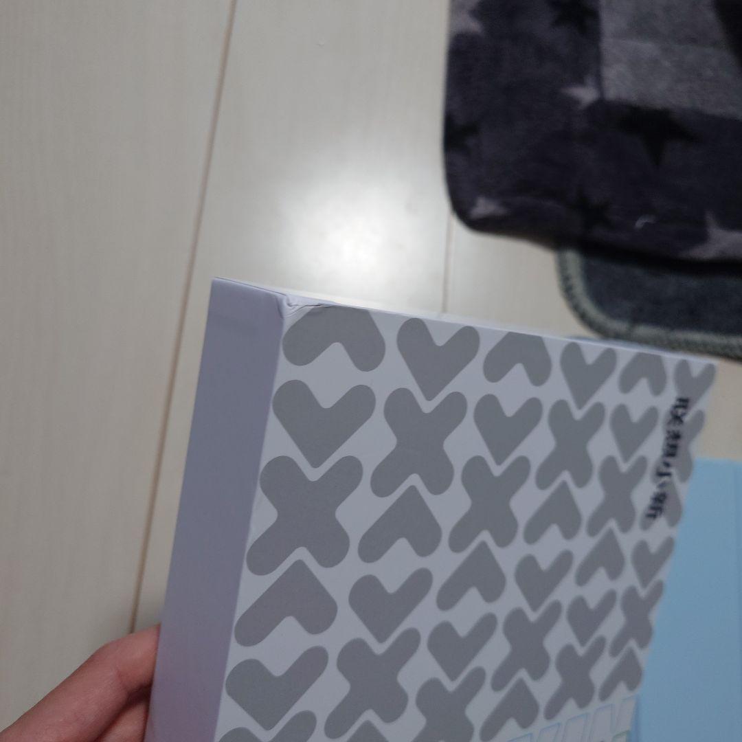 Lenovo Xiaoxin pad pro 2025 12.7インチ