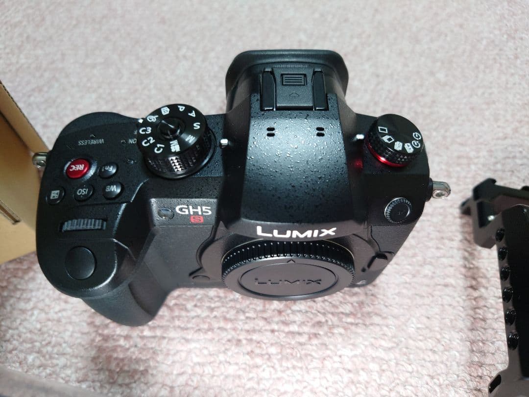 Lumix GH5S + SmallRig ケージ 室内のみ シャッター101回