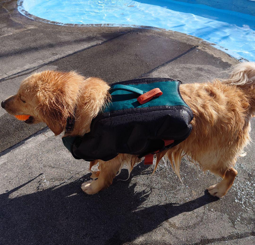 テールハイ 大型犬用ライフジャケット Lサイズ