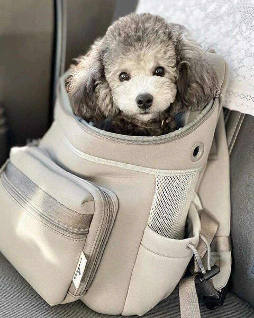 シティードック新品⭐️ネオプレーンバックパックキャリーペットリュック犬猫お出かけ