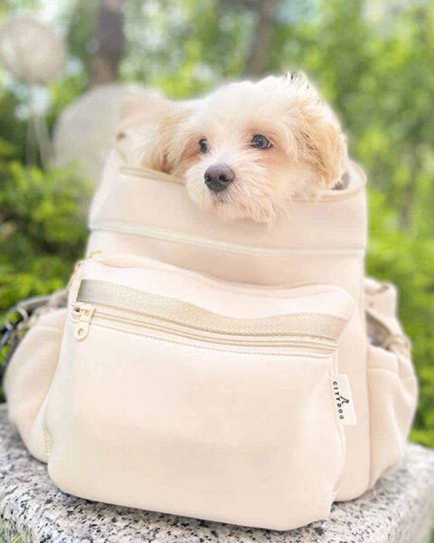 シティードック新品⭐️ネオプレーンバックパックキャリーペットリュック犬猫お出かけ