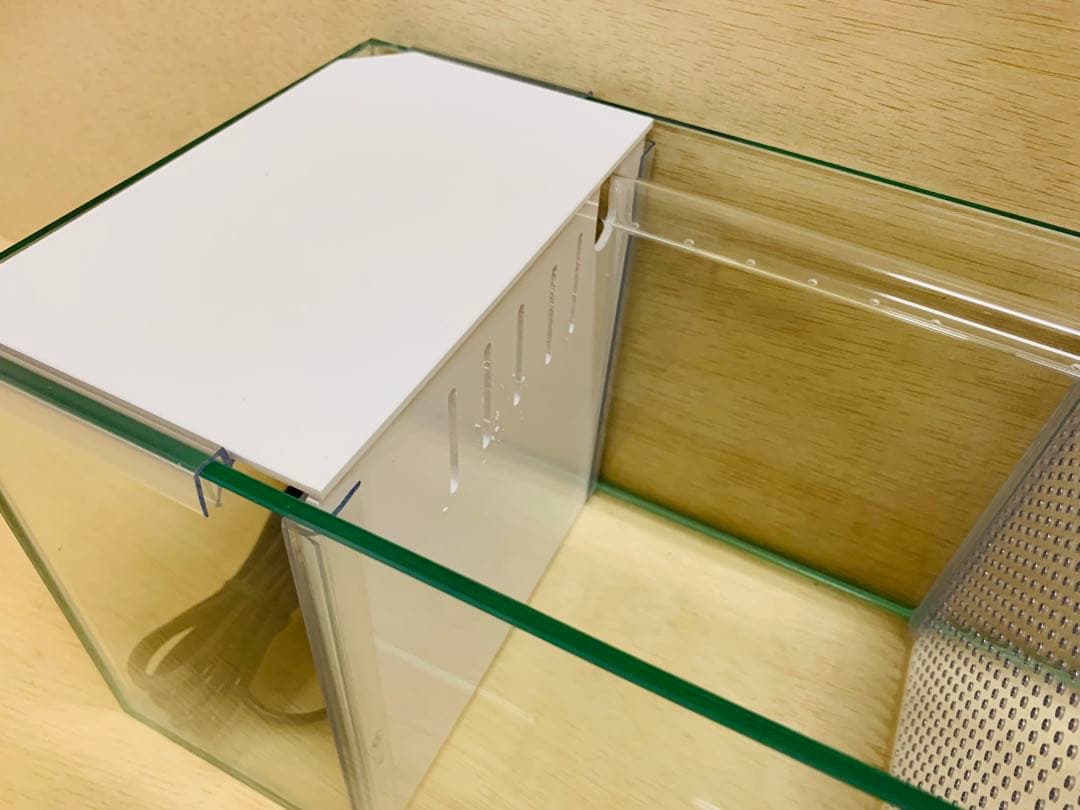 ラスト1台　特注ガラス水槽　600×200×200　4室　ポンプ付き　未使用