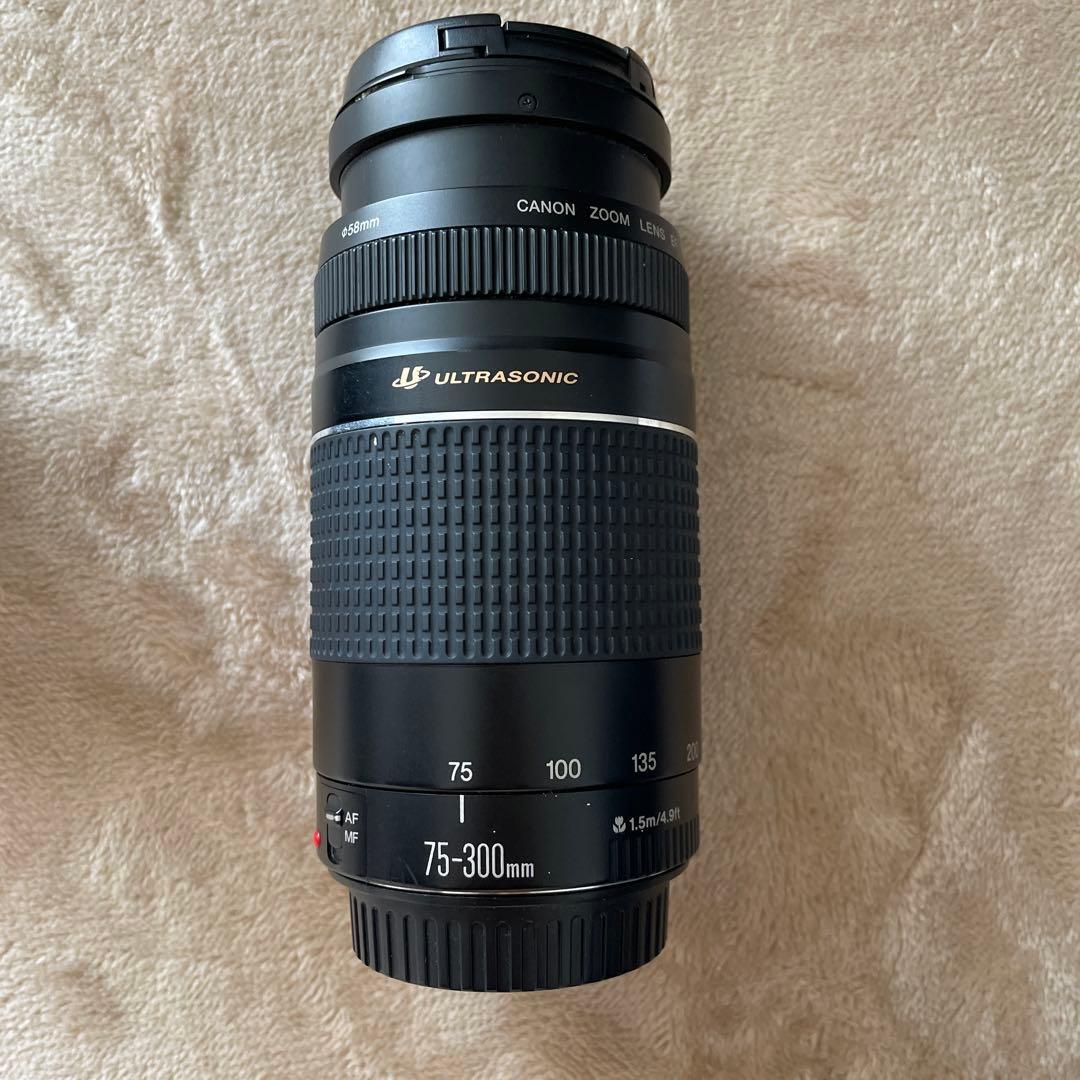Canon EOS 60D カメラセット