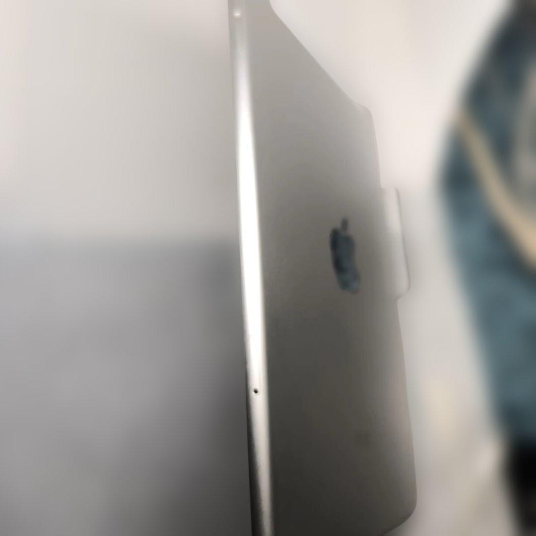 キ*グ様 iPad mini4 128GBスペースグレイ Wi-Fi+Cellu