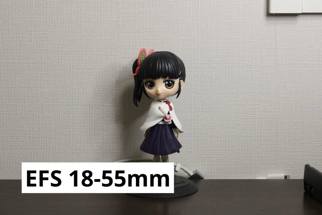 【レンズ5本セット】Canon EOS Kiss X5 単焦点付 美品　バック付