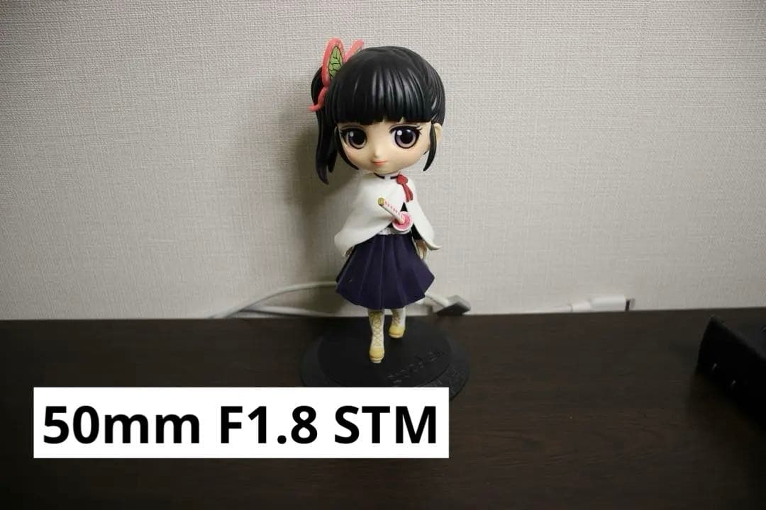 【レンズ5本セット】Canon EOS Kiss X5 単焦点付 美品　バック付